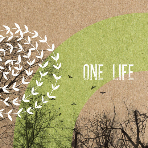 An image of One Life - Digital Album